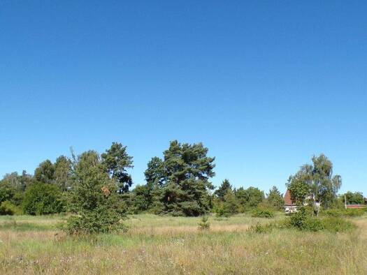 Grundstück zum Kauf provisionsfrei 1.100.000 € 17.484 m² Grundstück frei ab sofort Schmellwitz Cottbus 03044