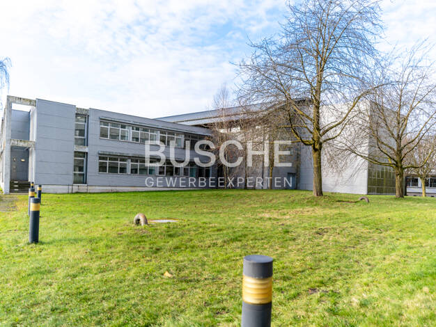 Bürofläche zur Miete 1.968,9 m² Bürofläche Burgsteinfurt Steinfurt 48565