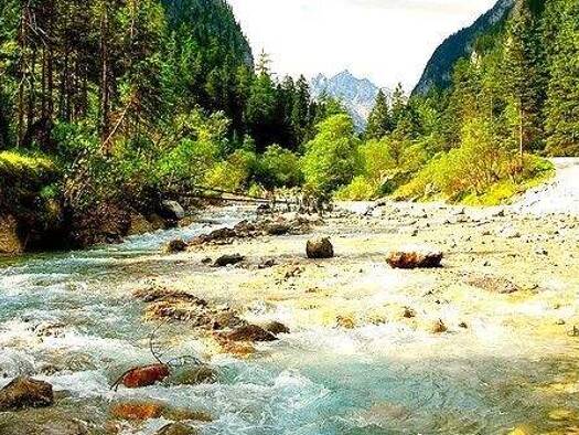 Studio zum Kauf 35.000 € 1 Zimmer 32 m² 1. Geschoss frei ab 01.04.2026 Altreichenau Neureichenau 94089