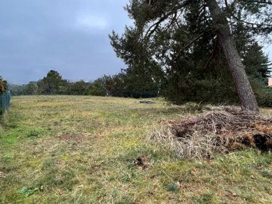 Grundstück zum Kauf 450.000 € 1.009 m² Grundstück Borgsdorf Hohen Neuendorf 16556