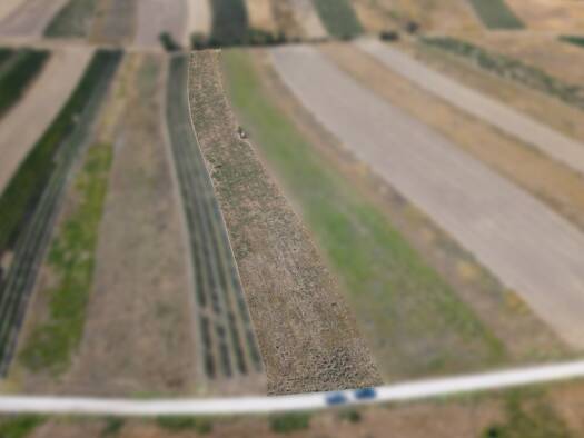 Land-/Forstwirtschaft zum Kauf 5.834 m² Grundstück Bockfließ 2213