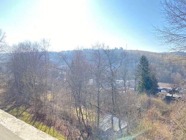 Wohnung zur Miete 150 € 1 Zimmer 29,6 m² 1. Geschoss frei ab sofort Clara-Wieck-Ring 26 Markneukirchen Markneukirchen 08258