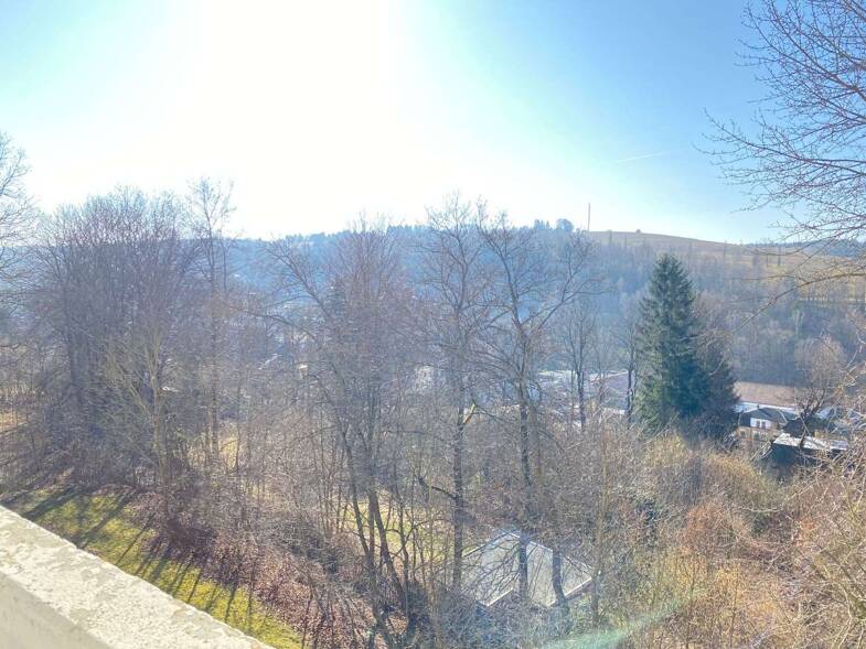 Wohnung zur Miete 150 € 1 Zimmer 29,6 m² 1. Geschoss frei ab sofort Clara-Wieck-Ring 26 Markneukirchen Markneukirchen 08258