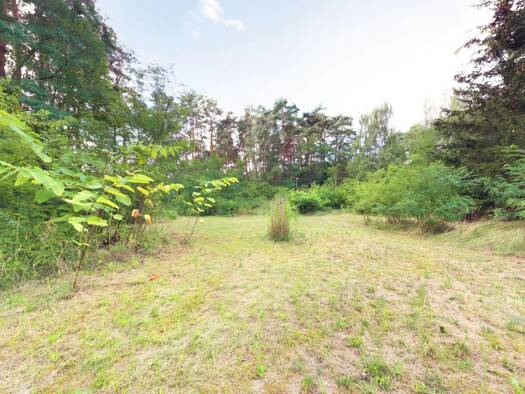 Grundstück zum Kauf 179.000 € 1.429 m² Grundstück Borkheide 14822