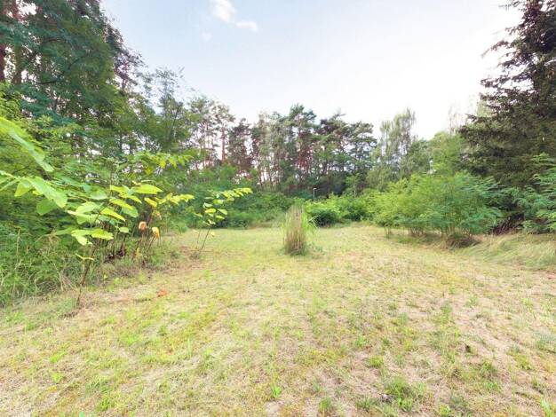Grundstück zum Kauf 179.000 € 1.429 m² Grundstück Borkheide 14822