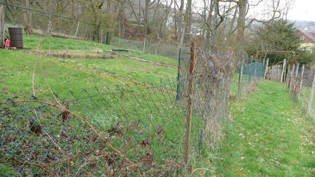 Immobilie in Reichweiler - Platz für 2 Familien!!! - Bild 3