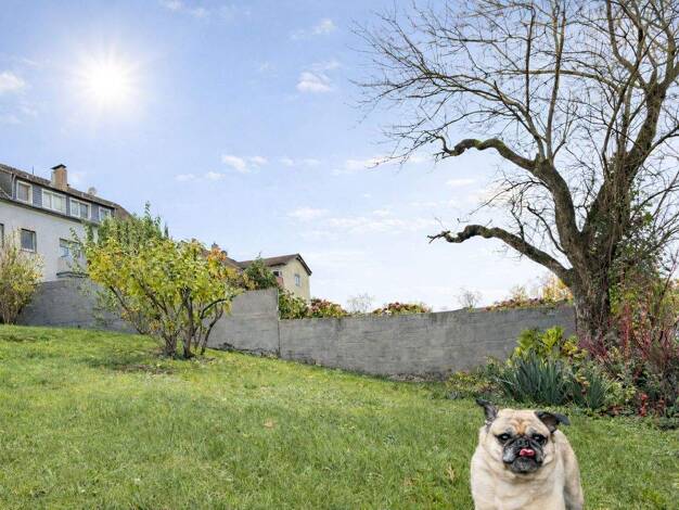 Doppelhaushälfte zum Kauf 418.000 € 6 Zimmer 162 m² 614,5 m² Grundstück Haan 42781