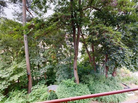 Wohnung zum Kauf 119.900 € 3 Zimmer 65 m² 1. Geschoss frei ab sofort Hasenbuck Südliche Außenstadt 90461