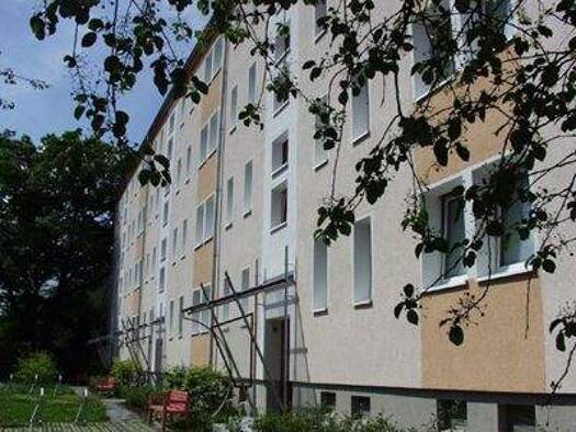 Wohnung zur Miete 432 € 3 Zimmer 60 m² 2. Geschoss frei ab 15.01.2026 Adolph-Menzel-Weg 8 Weißenborn Zwickau 08058