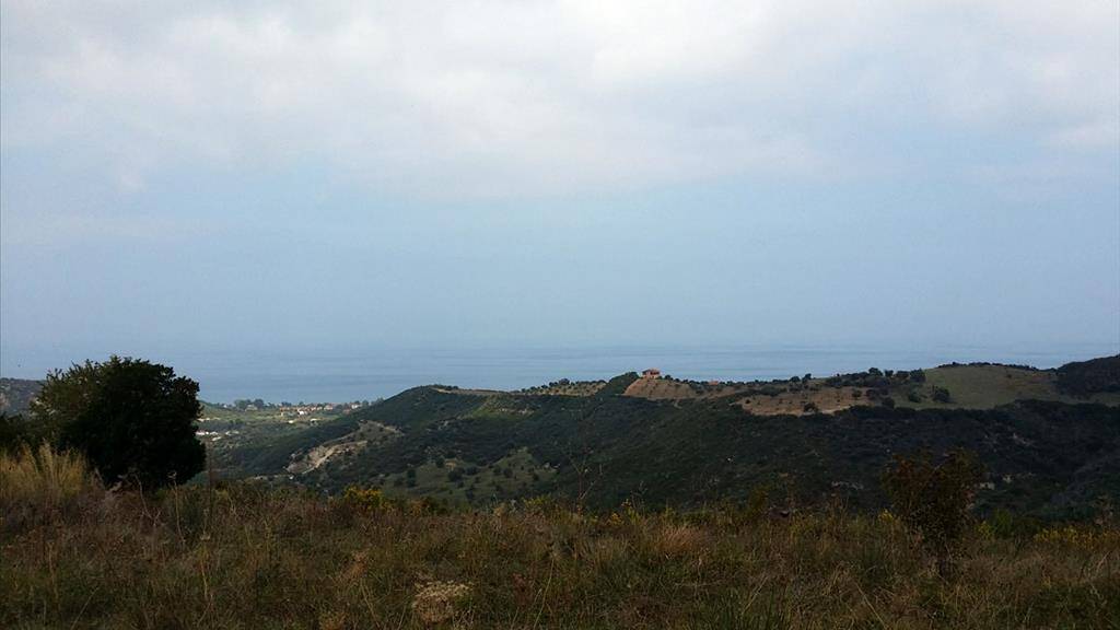 Land-/Forstwirtschaft zum Kauf 120.000 € 15.000 m² Grundstück Chalkidiki