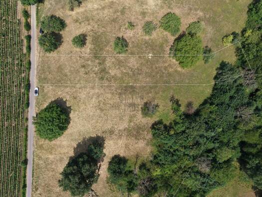 Land-/Forstwirtschaft zum Kauf 29.900 € 901 m² Grundstück Innenstadt Baden-Baden 76532