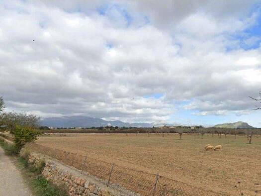 Grundstück zum Kauf 995.000 € 19.347 m² Grundstück Inca 07300