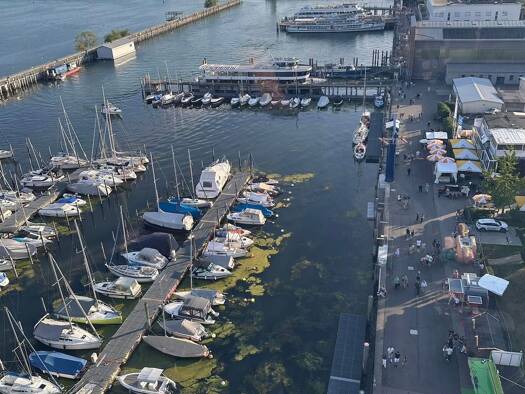 WG-Zimmer zur Miete 580 € 18 m² Geschoss EG/3 frei ab sofort Friedrichshafen Friedrichshafen 88046
