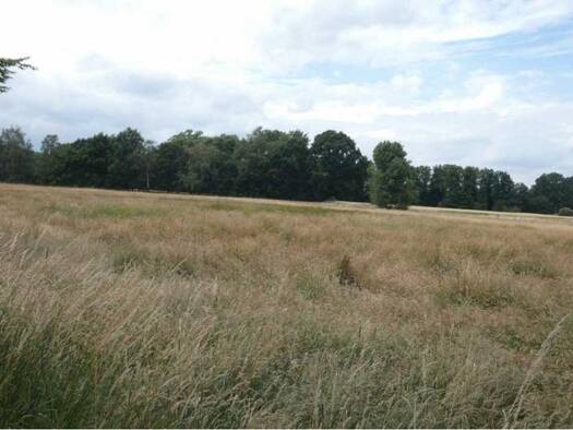 Land-/Forstwirtschaft zum Kauf provisionsfrei 34.616 € 28.847 m² Grundstück Erichshagen Nienburg (Weser) 31582