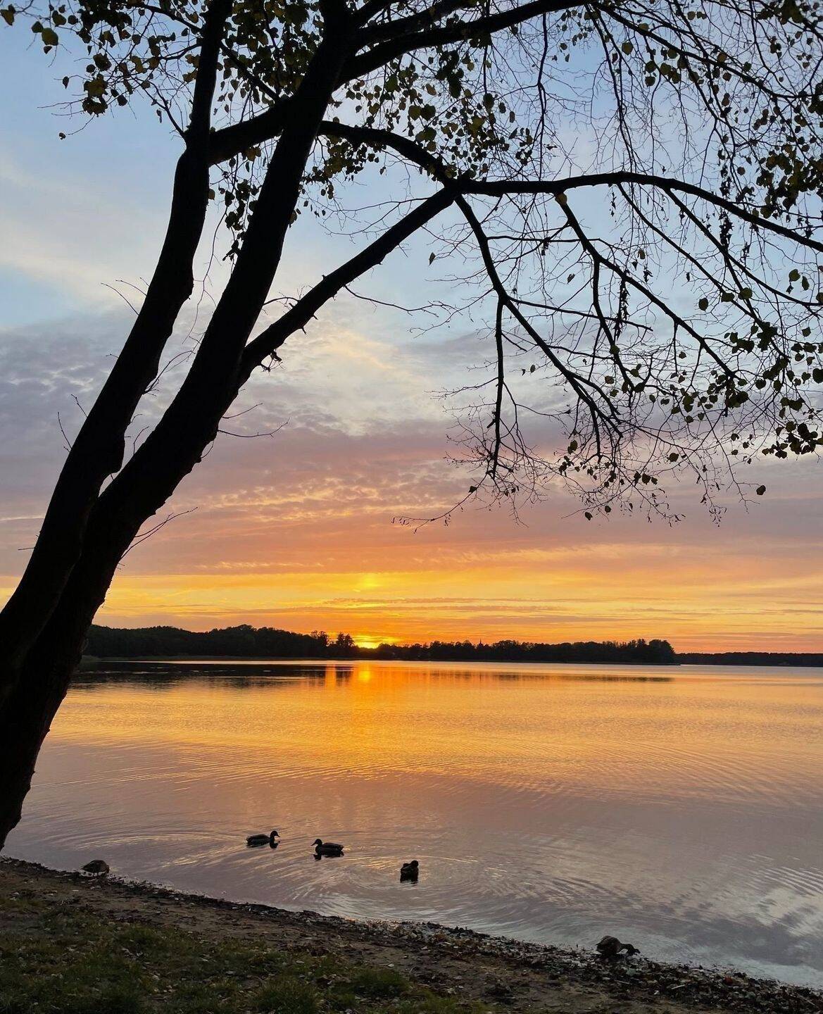 Großes Seegrundstück mit großem Zugang am Wandlitzsee