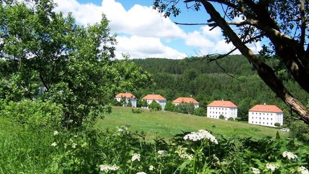 Wohnung zur Miete 377 € 3 Zimmer 68,5 m² frei ab sofort Dr.-Steudner-Str. Sebnitz 01855