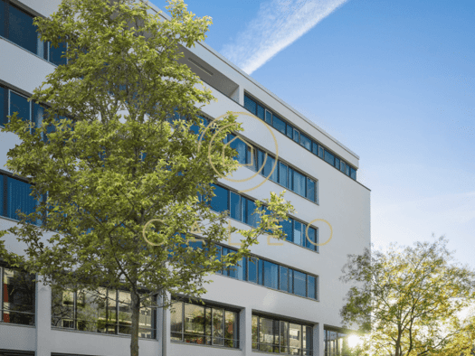 Bürofläche zur Miete provisionsfrei 12,50 € 7.518 m² Bürofläche teilbar ab 245 m² Darmstadt 64293