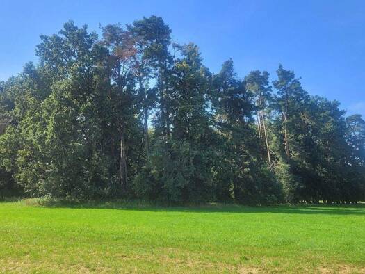 Forstwirtschaft zum Kauf 5.800 € 1.177 m² Aurau Büchenbach 91186