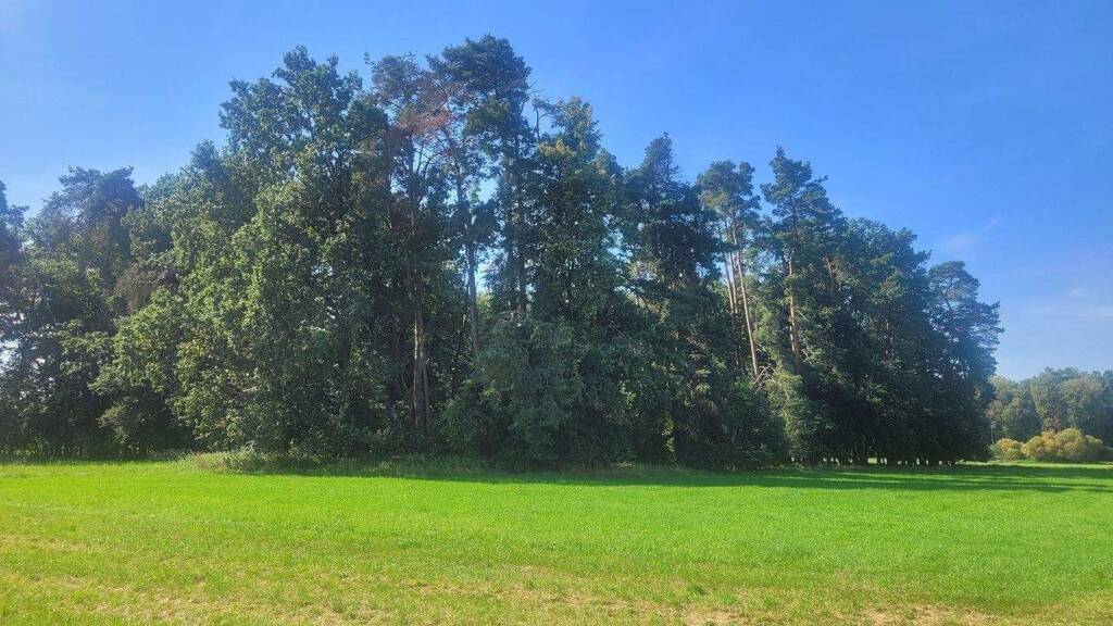 Forstwirtschaft zum Kauf 5.800 € 1.177 m² Aurau Büchenbach 91186