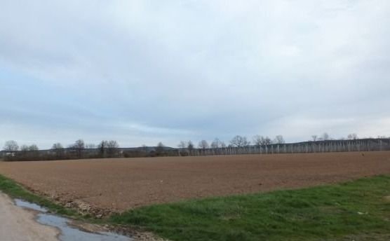 Landwirtschaftliche Fläche zum Kauf 45.000 € 6.634 m²<br/>Grundstück Gregor-Mendel-Straße Kirchheim Euskirchen 53881