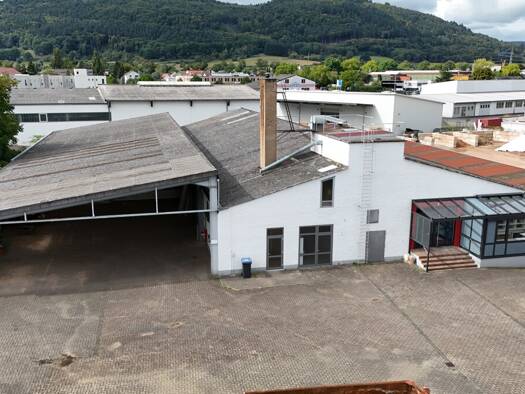Lagerhalle zur Miete provisionsfrei 5.000 € 1.394,5 m² Lagerfläche Miltenberg Miltenberg 63897