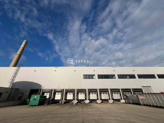 Lagerhalle zur Miete provisionsfrei 10.700 m² Lagerfläche Hafen Düsseldorf 40221