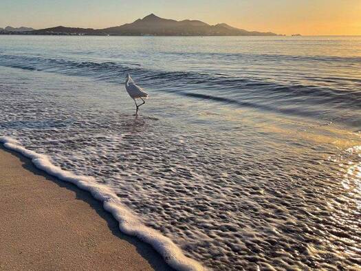 Haus zum Kauf 1.550.000 € 4 Zimmer 185 m² 243 m² Grundstück Muro 07440