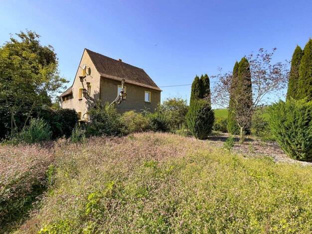 Einfamilienhaus zum Kauf 80.000 € 4 Zimmer 89,7 m² 810 m² Grundstück Niederpickenhain Geithain 04643