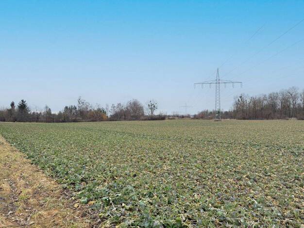 Land-/Forstwirtschaft zum Kauf 272.000 € 15.991 m² Grundstück Wendelskirchen Loiching / Kronwieden 84180