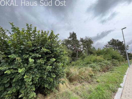 Einfamilienhaus zum Kauf 713.000 € 5 Zimmer 187 m² 918 m² Grundstück Bahnhofstraße 9 Langlau Pfofeld 91738