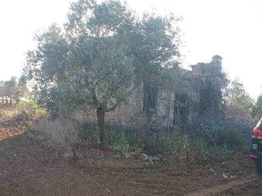 Bauernhaus zum Kauf provisionsfrei 409.000 € 1 Zimmer 30 m² 180.000 m² Grundstück Rociana del Condado 21720