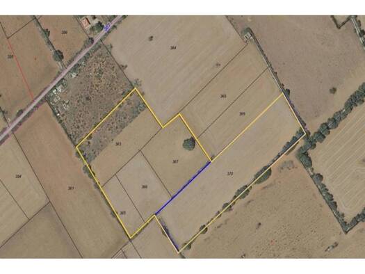 Acker-/Waldstück zum Kauf 160.000 € Felanitx 07200