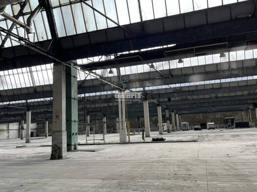 Lagerhalle zur Miete 2.500 m² Lagerfläche teilbar ab 2.500 m² Ilmenau 98693