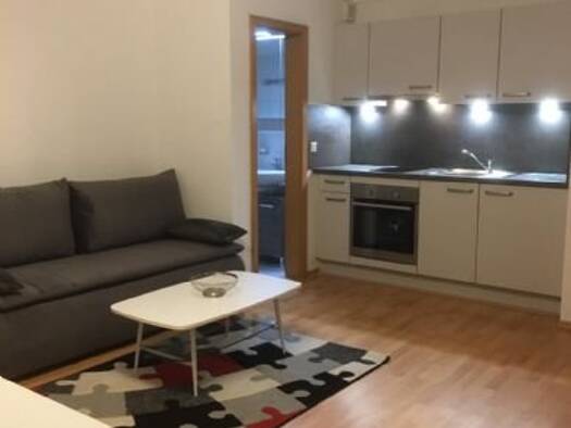 Wohnung zur Miete 740 € 1 Zimmer 30 m² EG Basler Straße 70 Stetten Lörrach 79540