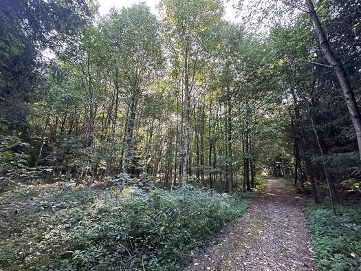 Land-/Forstwirtschaft zum Kauf 130.000 € 16.877 m² Grundstück Bad Endorf Bad Endorf 83093