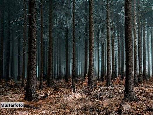 Land-/Forstwirtschaft zum Kauf 49.310 € 18.722 m² Grundstück Floß 92685