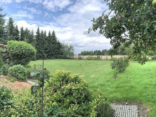 Einfamilienhaus zum Kauf 129.900 € 4 Zimmer 100 m² 1.000 m² Grundstück Leisnig 04703