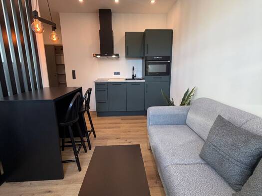Wohnung zur Miete 700 € 1 Zimmer 27 m² frei ab sofort Adalbertstraße 61 Aachen Aachen 52062
