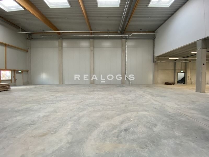 Halle/Industriefläche zur Miete provisionsfrei 1.600 m²<br/>Lagerfläche ab 800 m²<br/>Teilbarkeit Eil Köln 51149