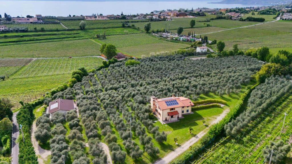 Haus zum Kauf 2.600.000 € 14 Zimmer 1.100 m² 26.000 m² Grundstück frei ab sofort Strada Corubbio 3 Bardolino 37011