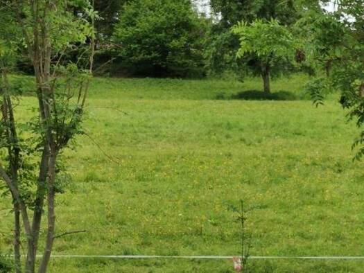 Grundstück zum Kauf 591.440 € 14.300 m² Grundstück Rosegg 9232