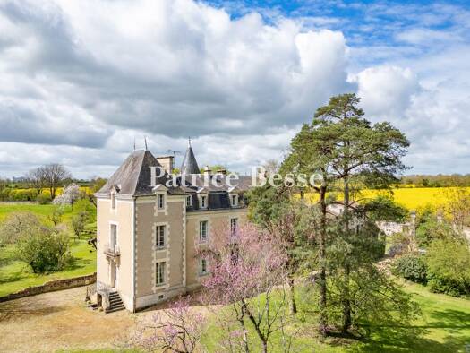 Herrenhaus zum Kauf 740.000 € 13 Zimmer 520 m² 81.060 m² Grundstück Trois Quartiers-Centre Ville Poitiers 86000