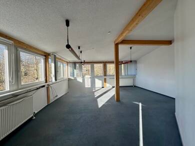 Bürogebäude zur Miete 750 € 3 Zimmer 80 m² Bürofläche Puderbach Puderbach 56305