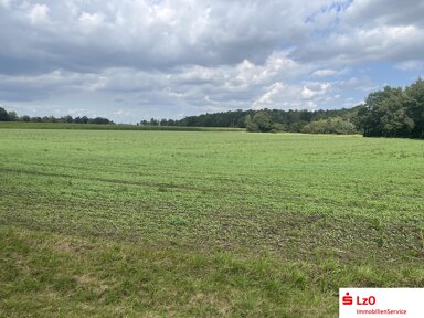 Land-/Forstwirtschaft zum Kauf 56.197 m² Grundstück Strange Wehrbleck 27259