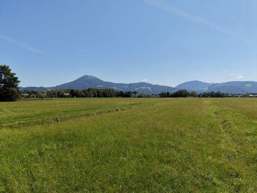 Grundstück zum Kauf 1.495.000 € 1.595 m² Grundstück Leopoldskron Salzburg 5020