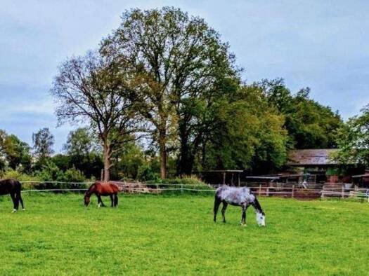 Einfamilienhaus zum Kauf provisionsfrei 399.500 € 4 Zimmer 158 m² 7.900 m² Grundstück Weddelbrook 24576