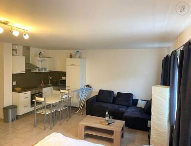 Wohnung zur Miete Wohnen auf Zeit 745 € 1 Zimmer 42 m² frei ab 01.06.2025 Rödelsee Rödelsee 97348