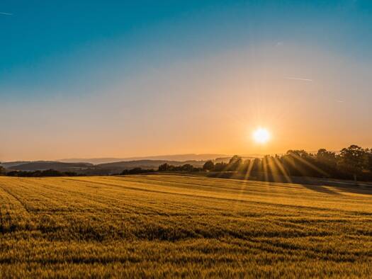 Landwirtschaftliche Fläche zum Kauf 238.000 € 19.828 m² Grundstück Großaitingen 86845