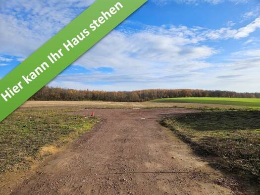 Einfamilienhaus zum Kauf - Erstbezug provisionsfrei 304.690 € 5 Zimmer 119 m² 880 m² Grundstück Am Fuchsweg Harbke 39365