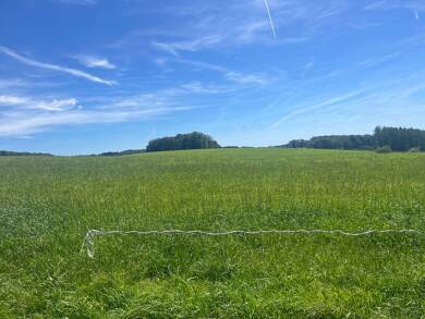 Land-/Forstwirtschaft zum Kauf 198.800 m² Halver Halver 58553